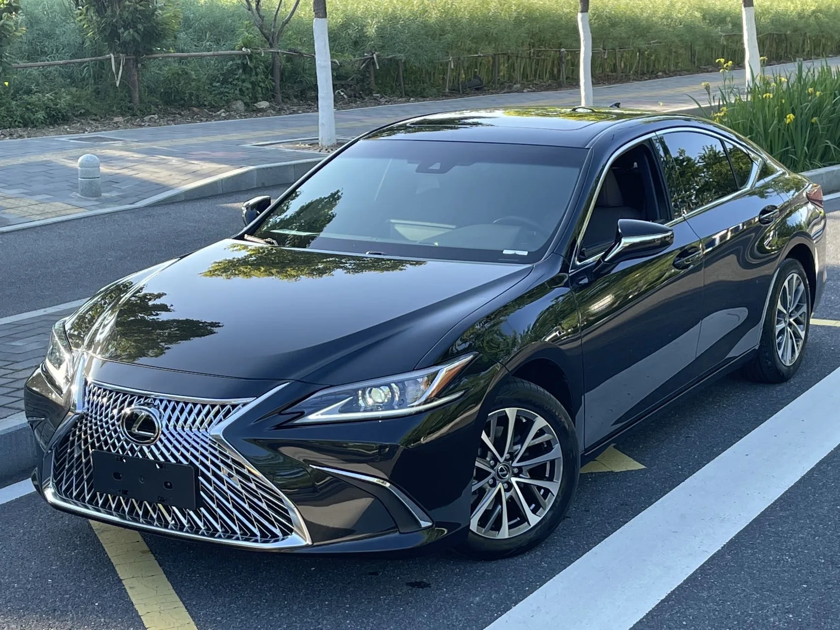 Lexus ES 2023 200 Premium Edition