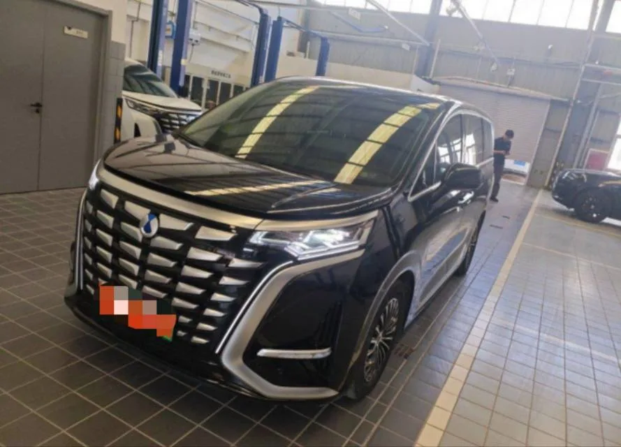 Denza D9 2024 DM-i 980 AWD Flagship
