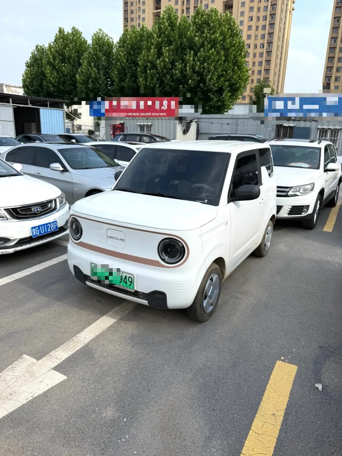 Panda 2024 Panda Mini 200km Endurance Bear