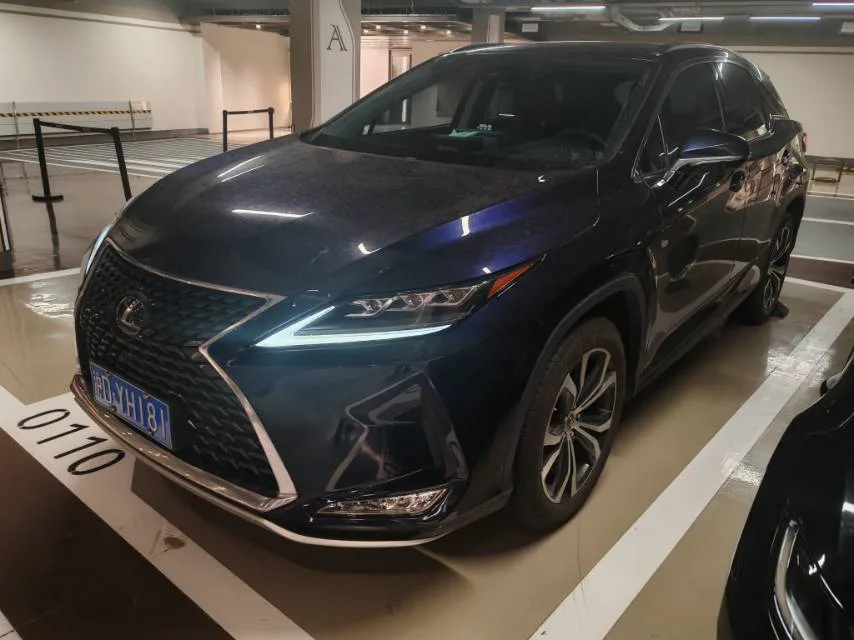 Lexus RX 2020 300 AWD Elegant Edition (China V Emission Standard)