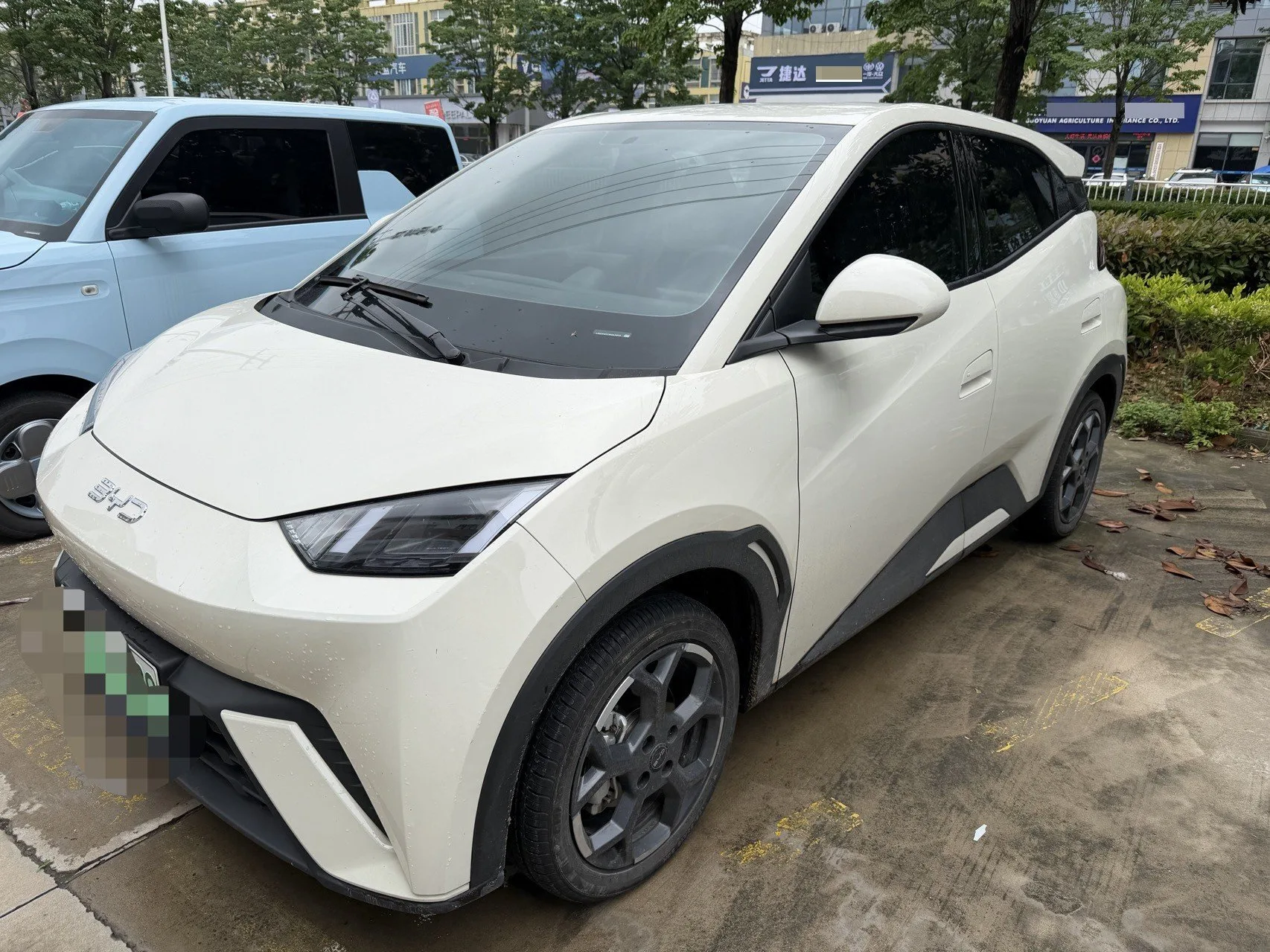 BYD 2023 Seagull Vitality Edition Automatic