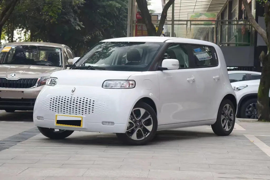 Euler White Cat 2020 Model, 305 km, Luxury Edition