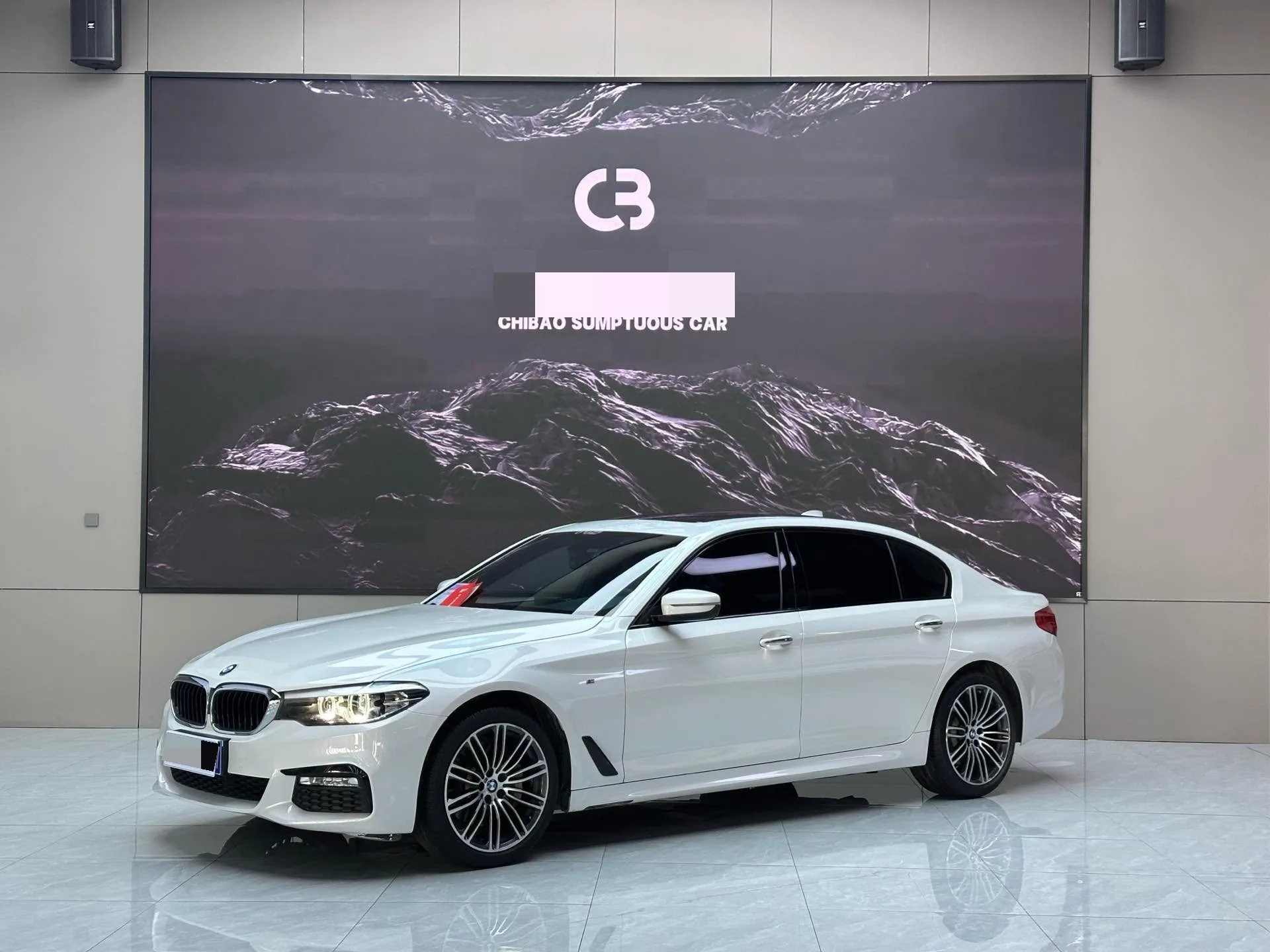 2018 BMW 5 Series 530Li Leading Luxury Package