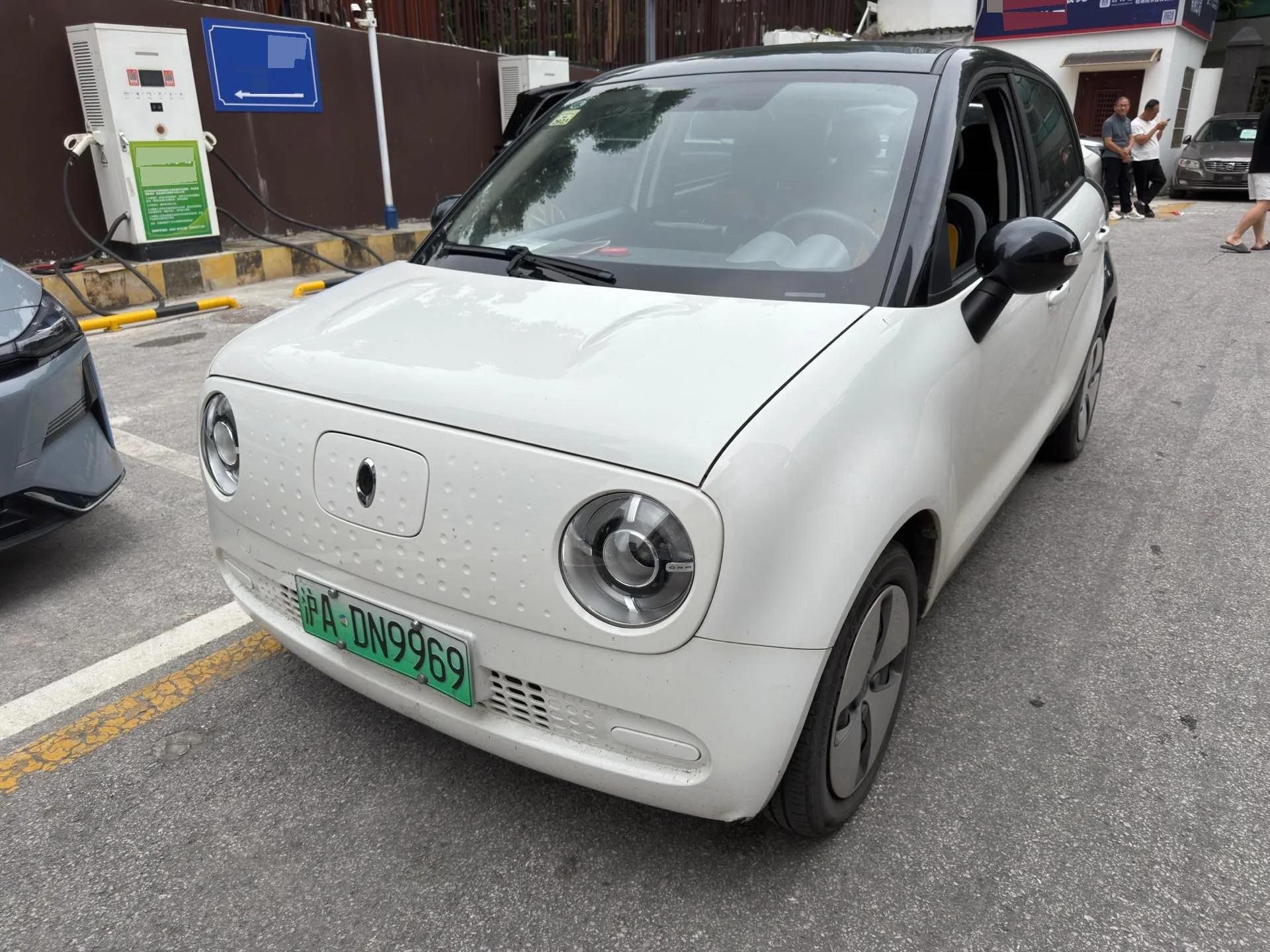 Euler Black Cat 2019 Model, 301 km, Standard Edition