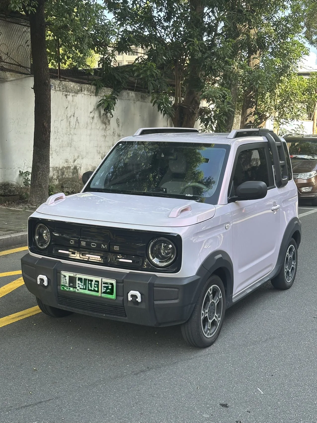 Panda 2024 Model 200km Panda Rider