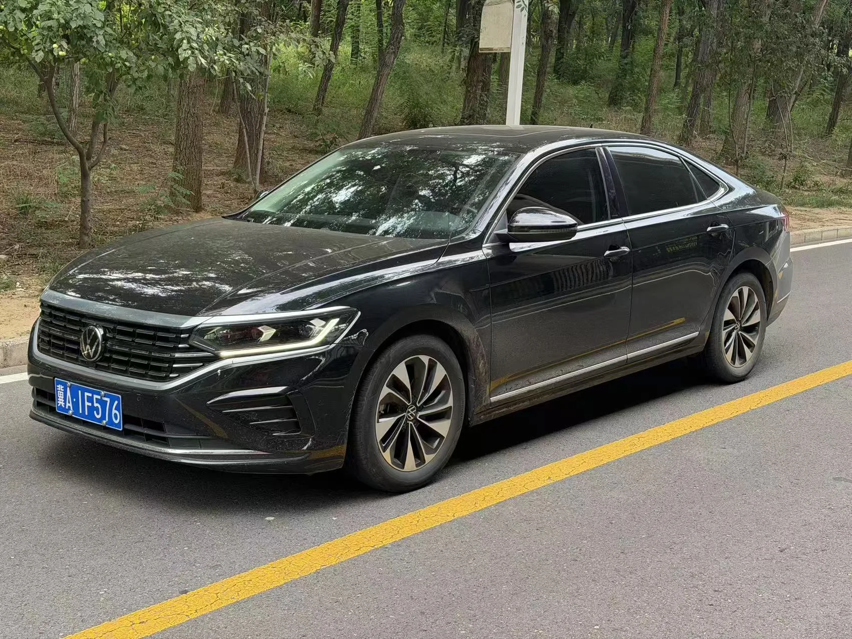 2023 Passat 280TSI Elite Edition