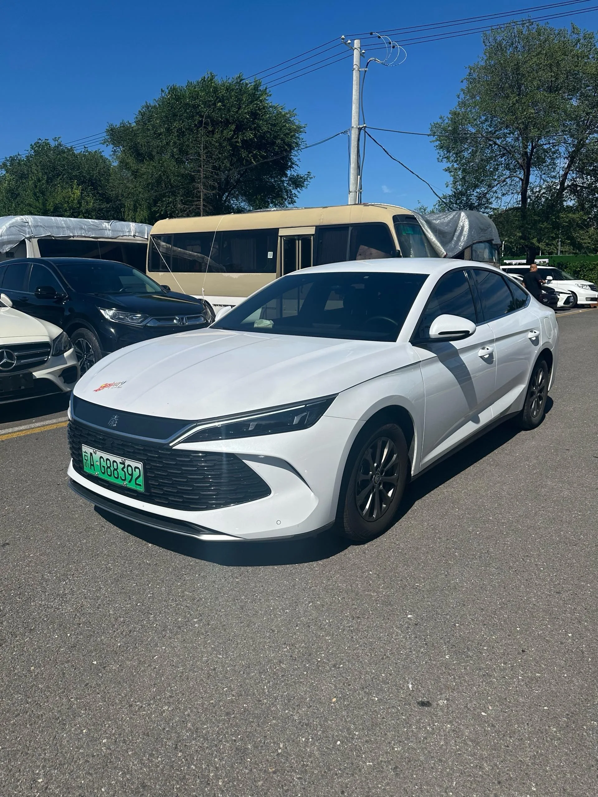 Qin L 2024 DM-i 80KM Leading Edition