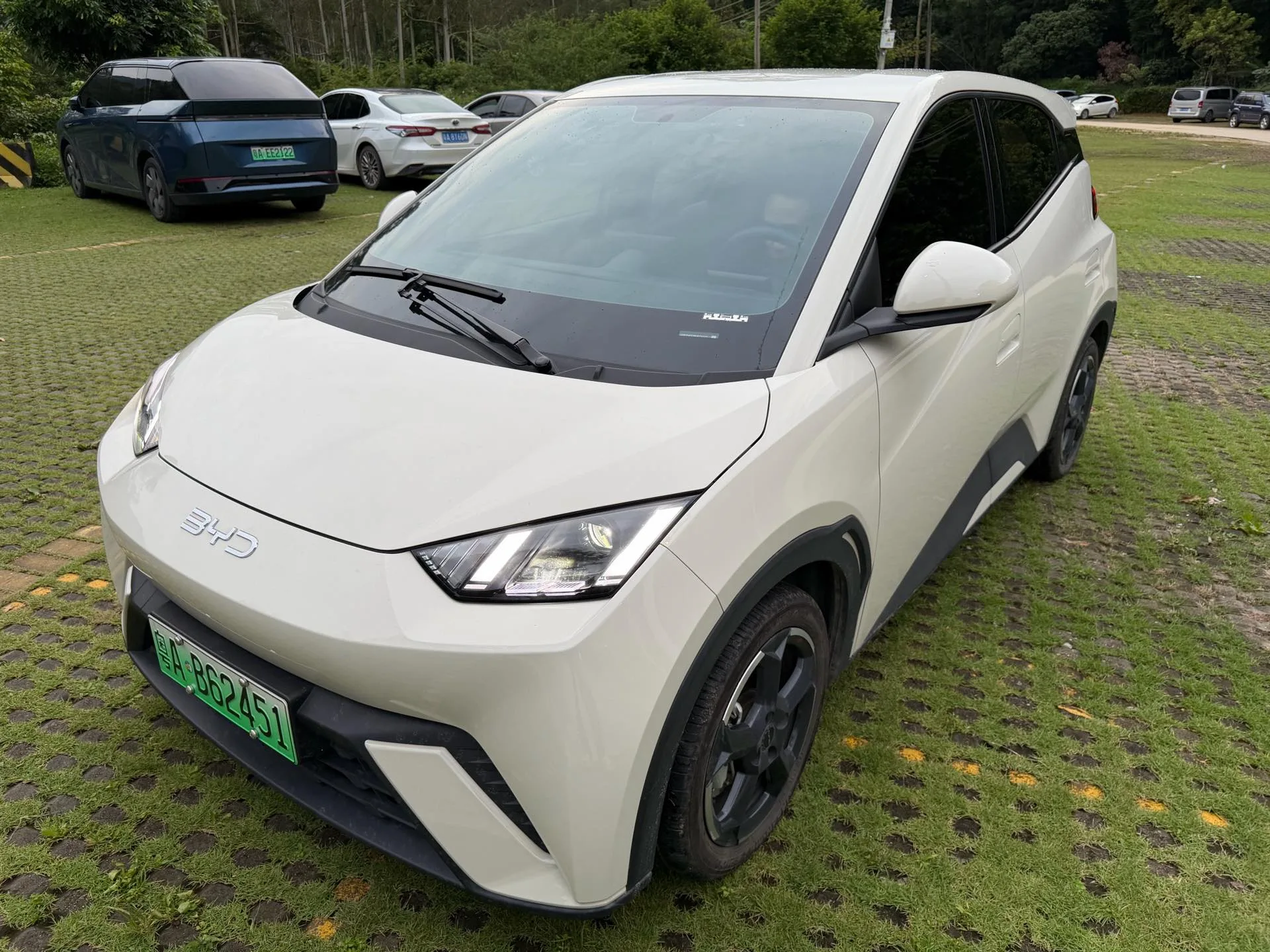 BYD 2024 Seagull Glory Edition 405km/h Flying Edition Automatic Transmission