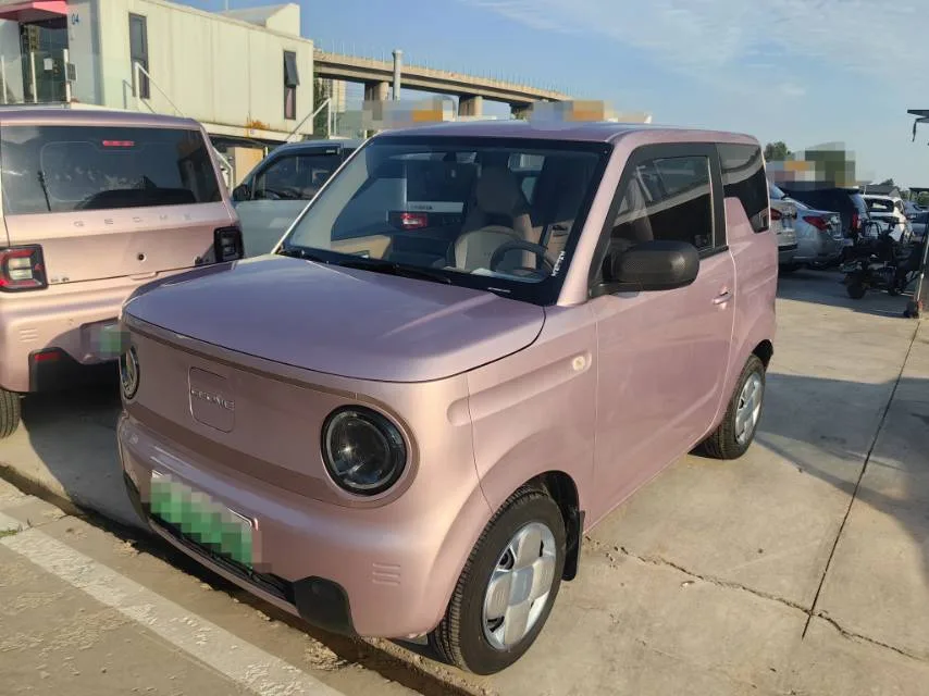 Panda 2024 Panda Mini 200km Endurance Bear
