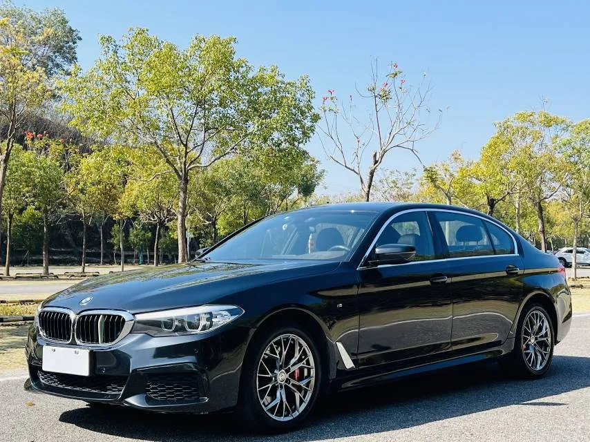 2020 BMW 5 Series 525Li M Sport Package