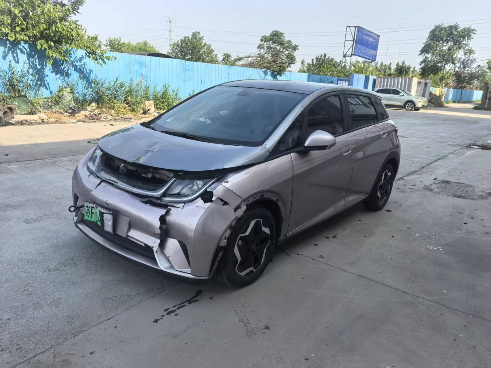 Dolphin 2021 405km Freedom Edition