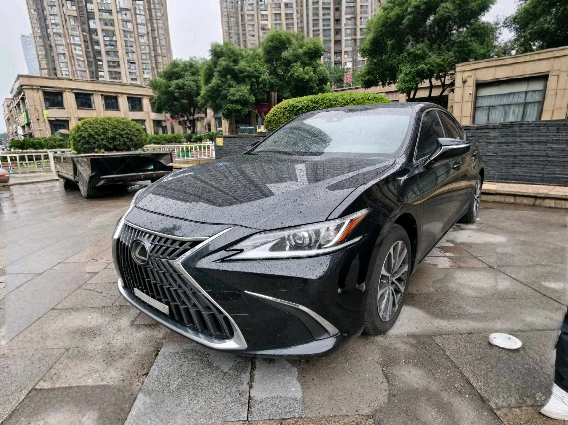 Lexus ES 2023 200 Premium Edition