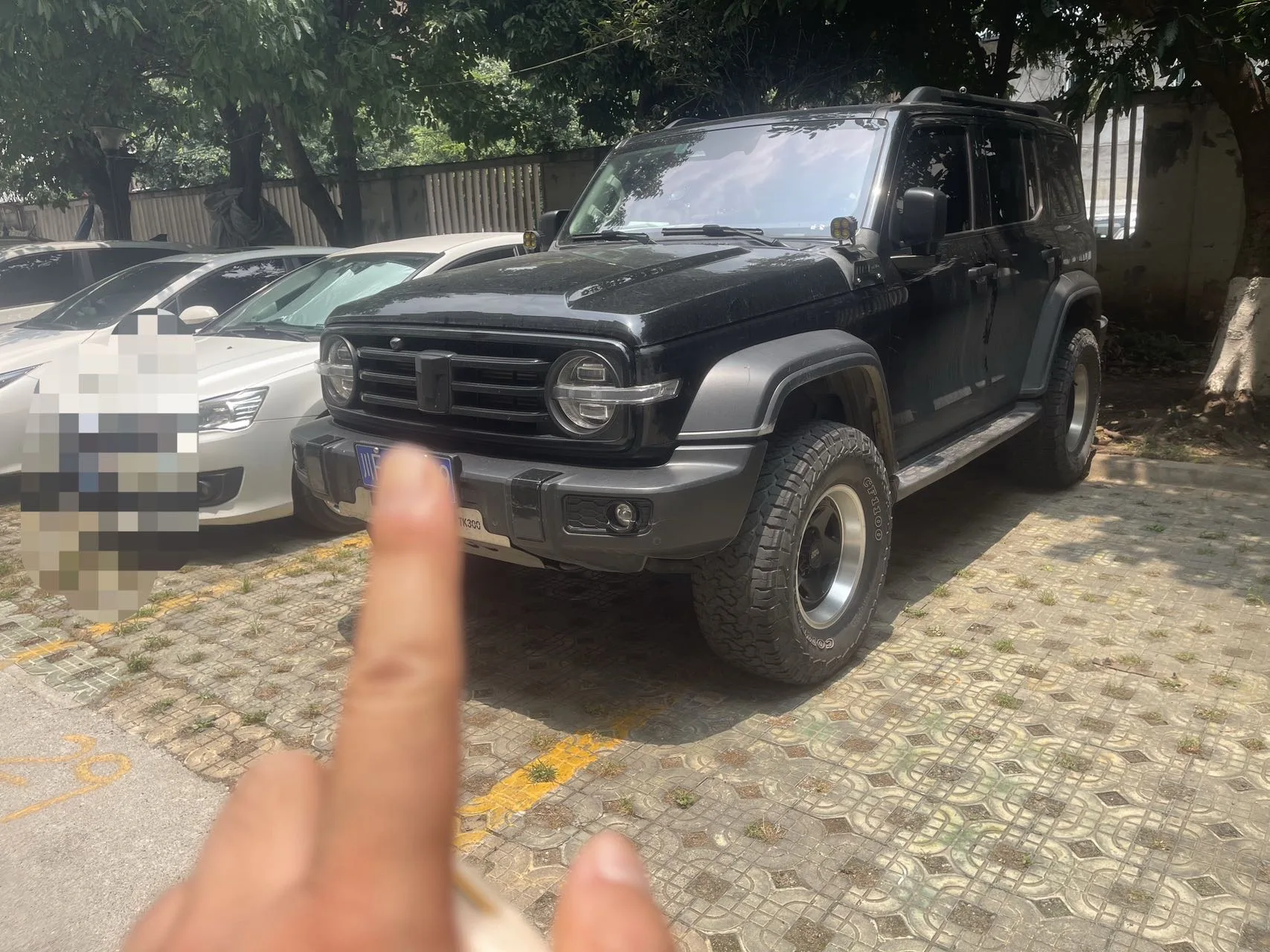 Tank 300 2023 Off-Road Edition 2.0T Conqueror