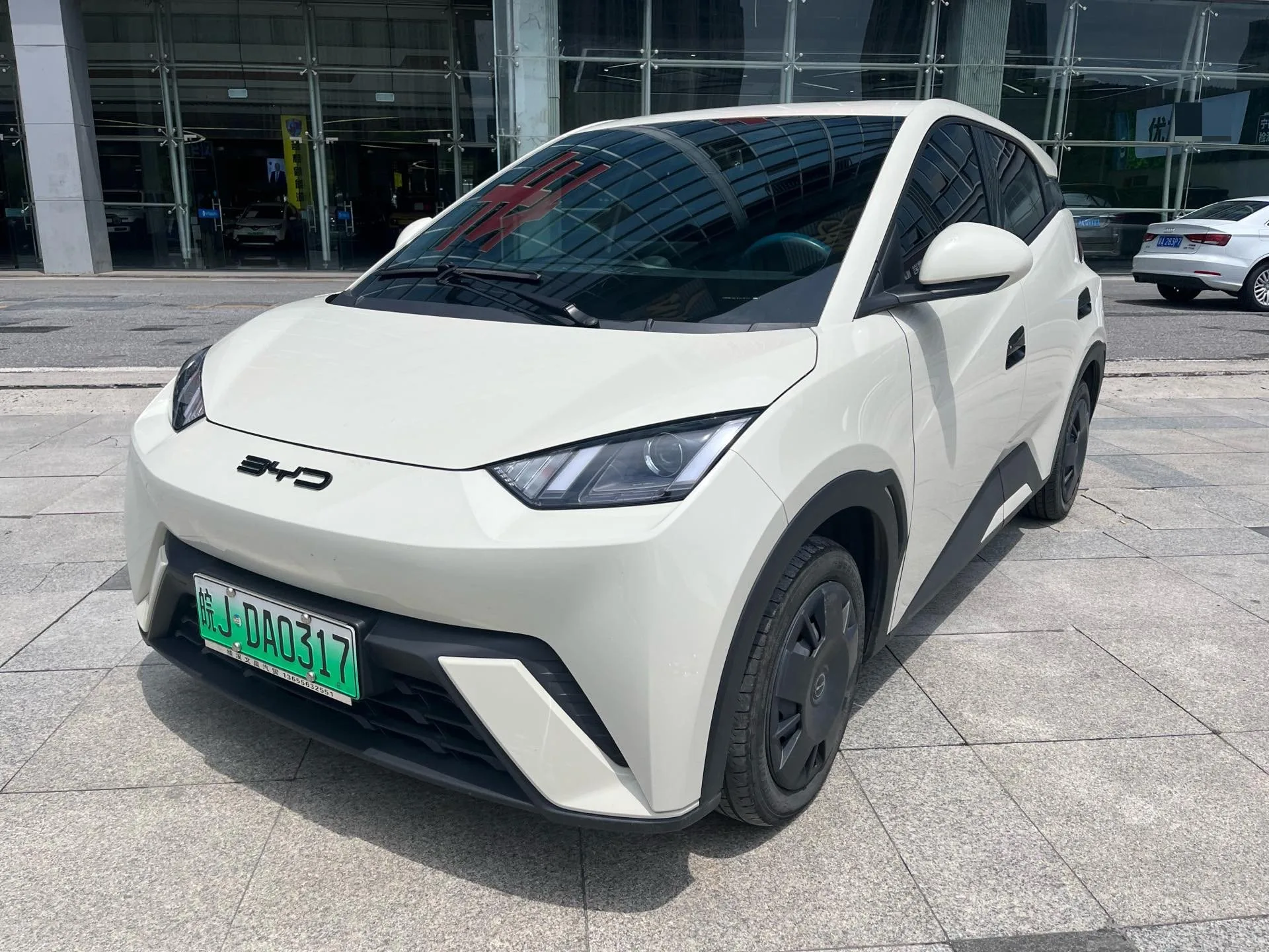 BYD 2023 Seagull Vitality Edition Automatic
