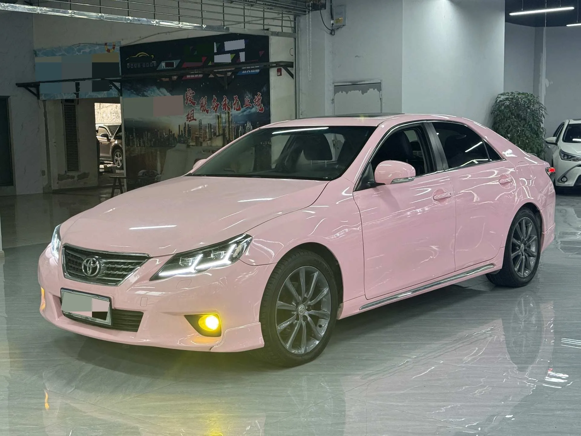 Reiz 2010 2.5V Fashion Elite Edition