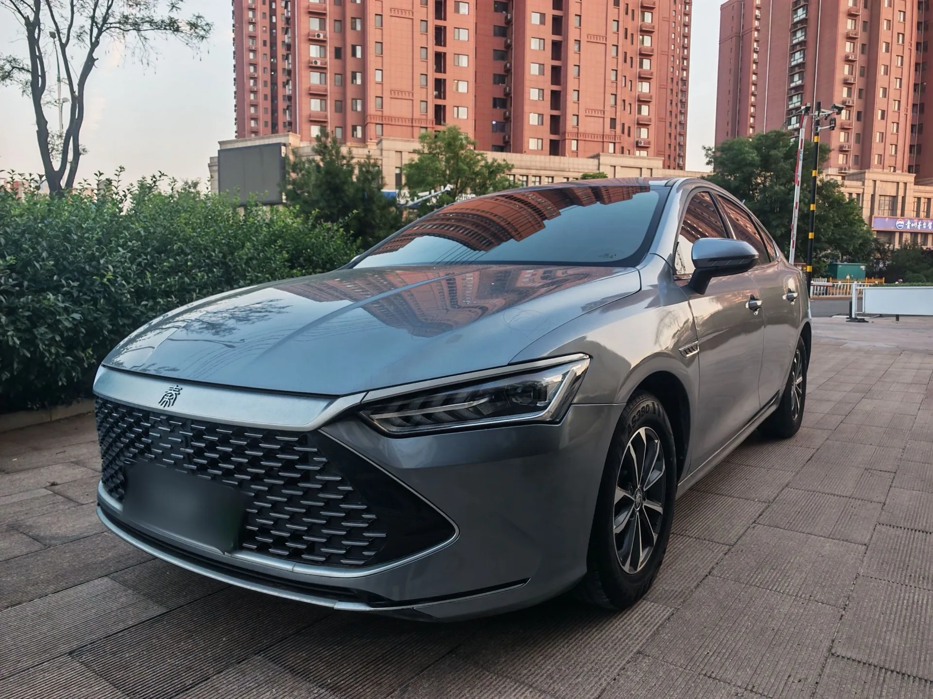 BYD 2024 Qin PLUS DM-i 1.5 CVT Glory Edition 55KM Leading Model Automatic
