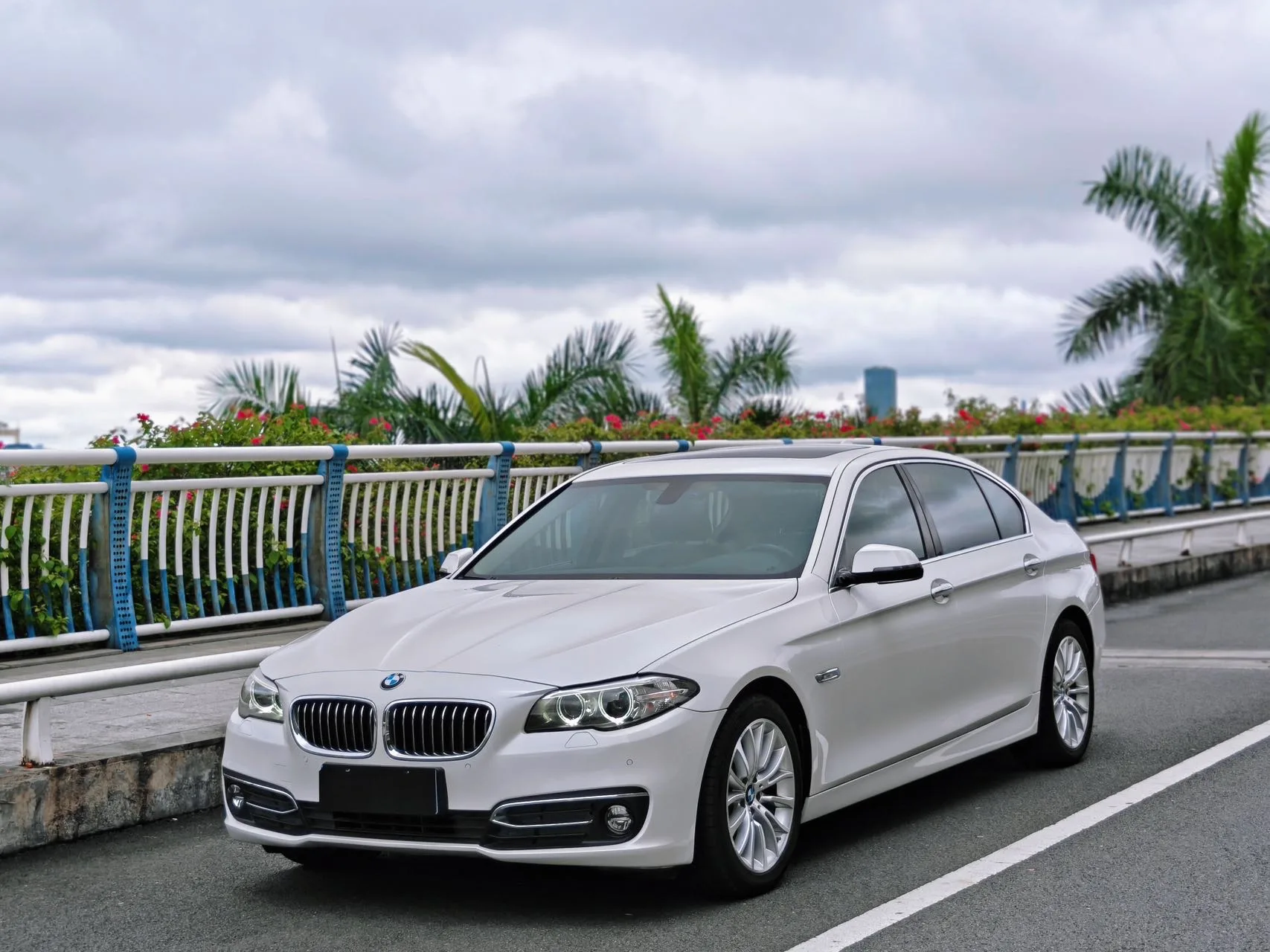 2017 BMW 5 Series 525Li Luxury Design Package