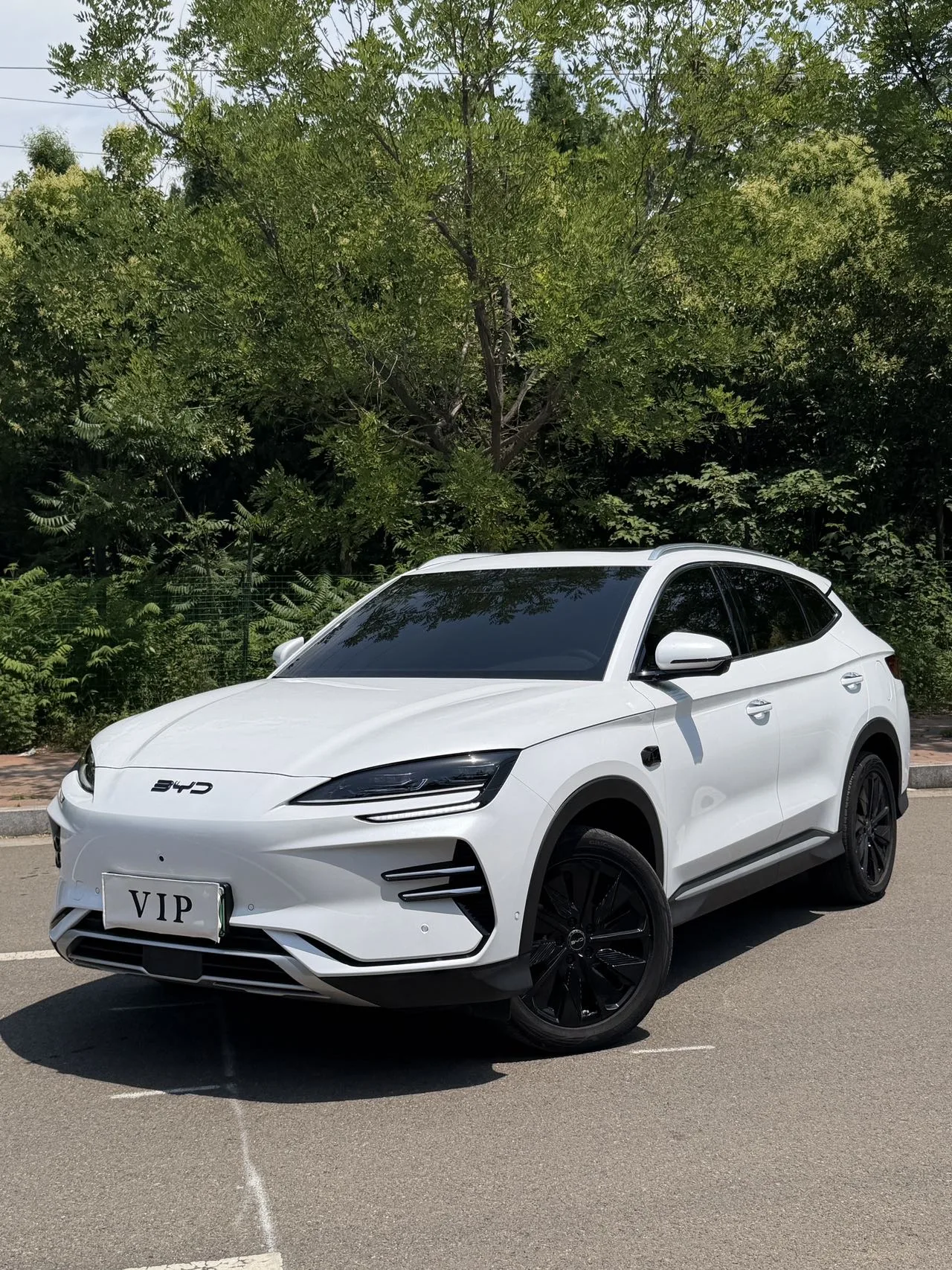 BYD Song PLUS New Energy 2025 Model, Song PLUS EV Smart Driving Edition, 520km Range, Premium Automatic Transmission