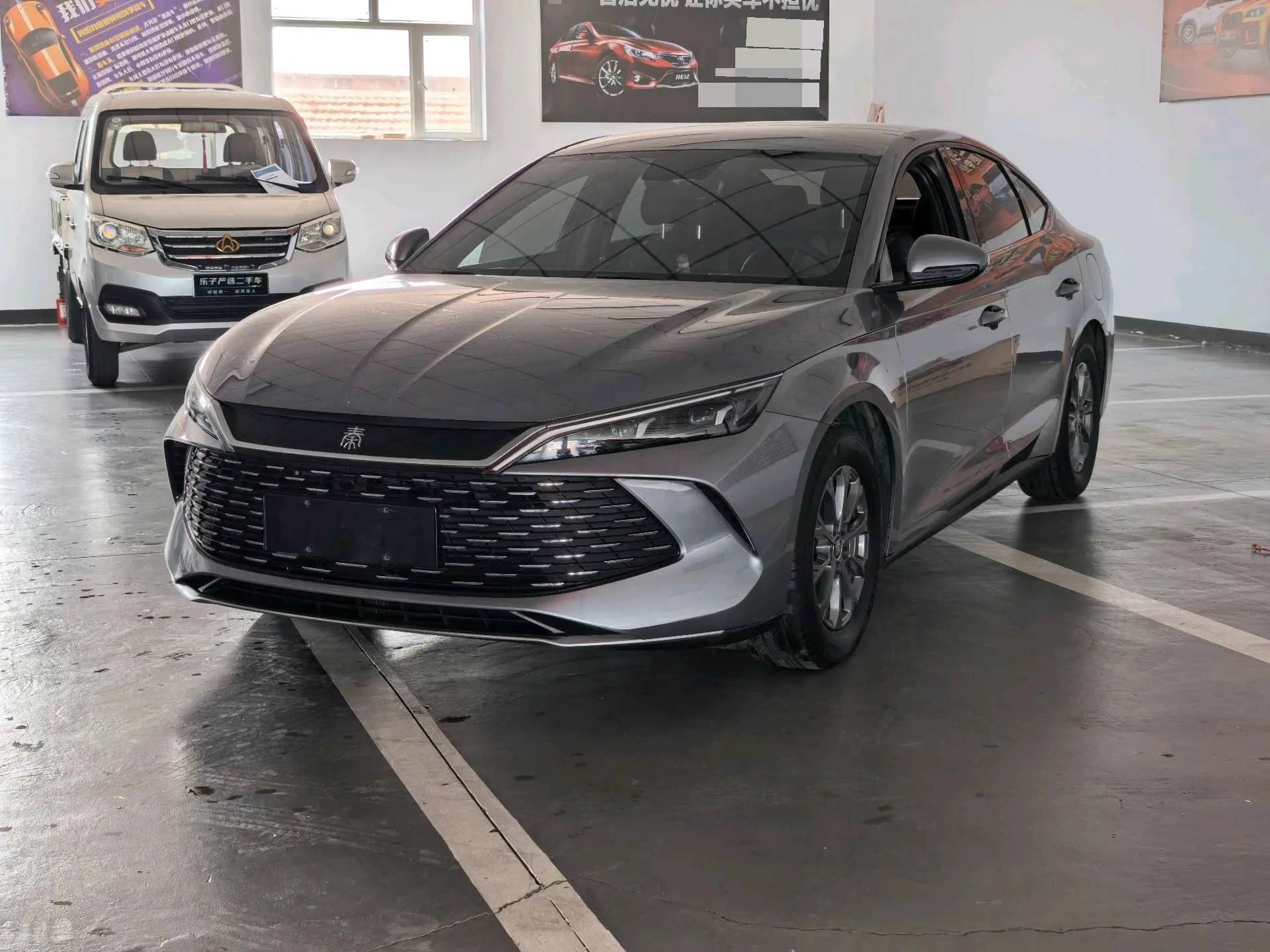 Qin L 2024 DM-i 80KM Leading Edition