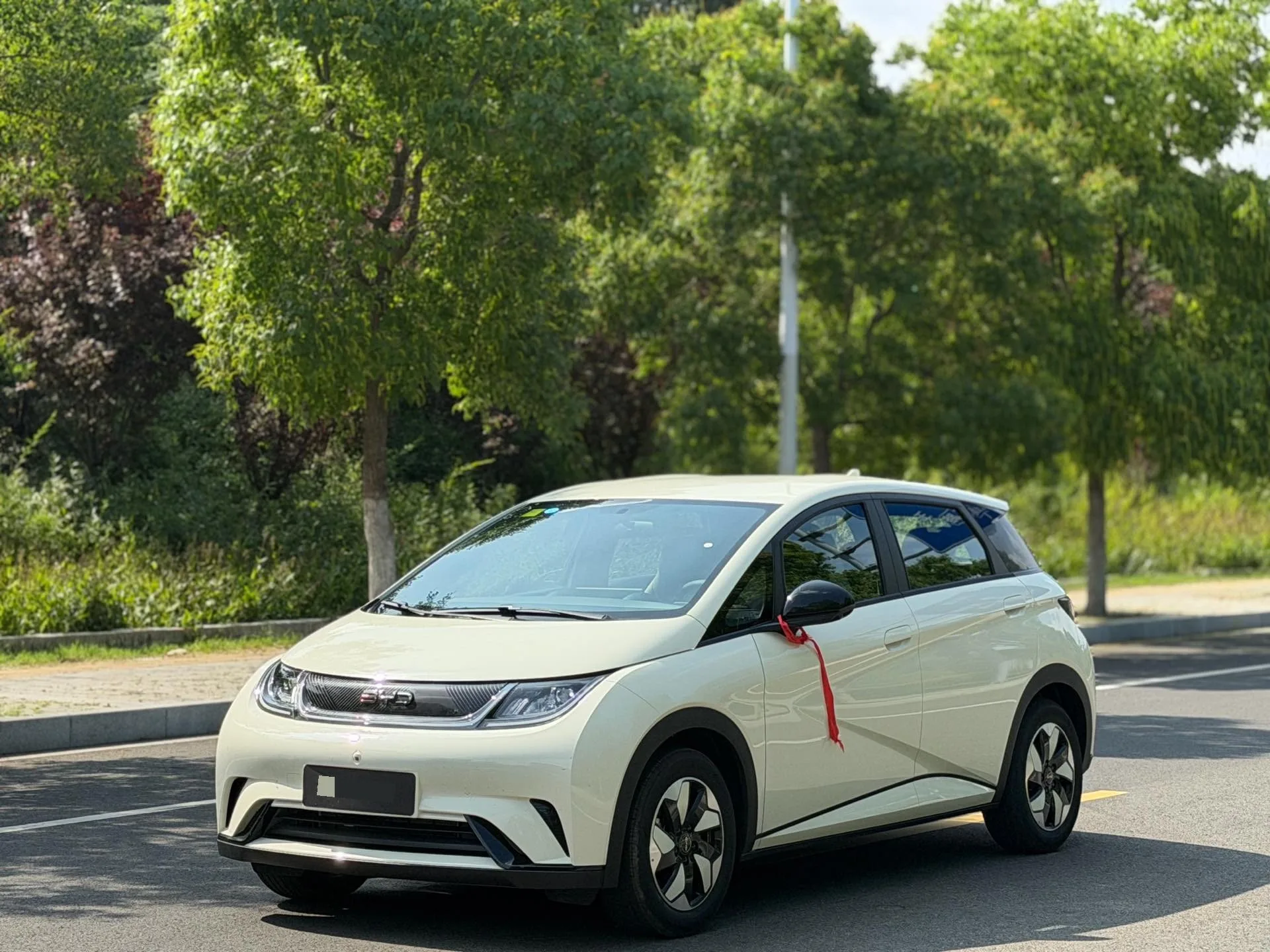 BYD 2025 Dolphin Smart Driving Edition 420km Freedom Edition Automatic Transmission