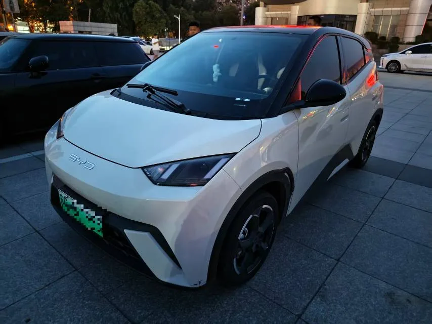BYD 2023 Seagull Vitality Edition Automatic