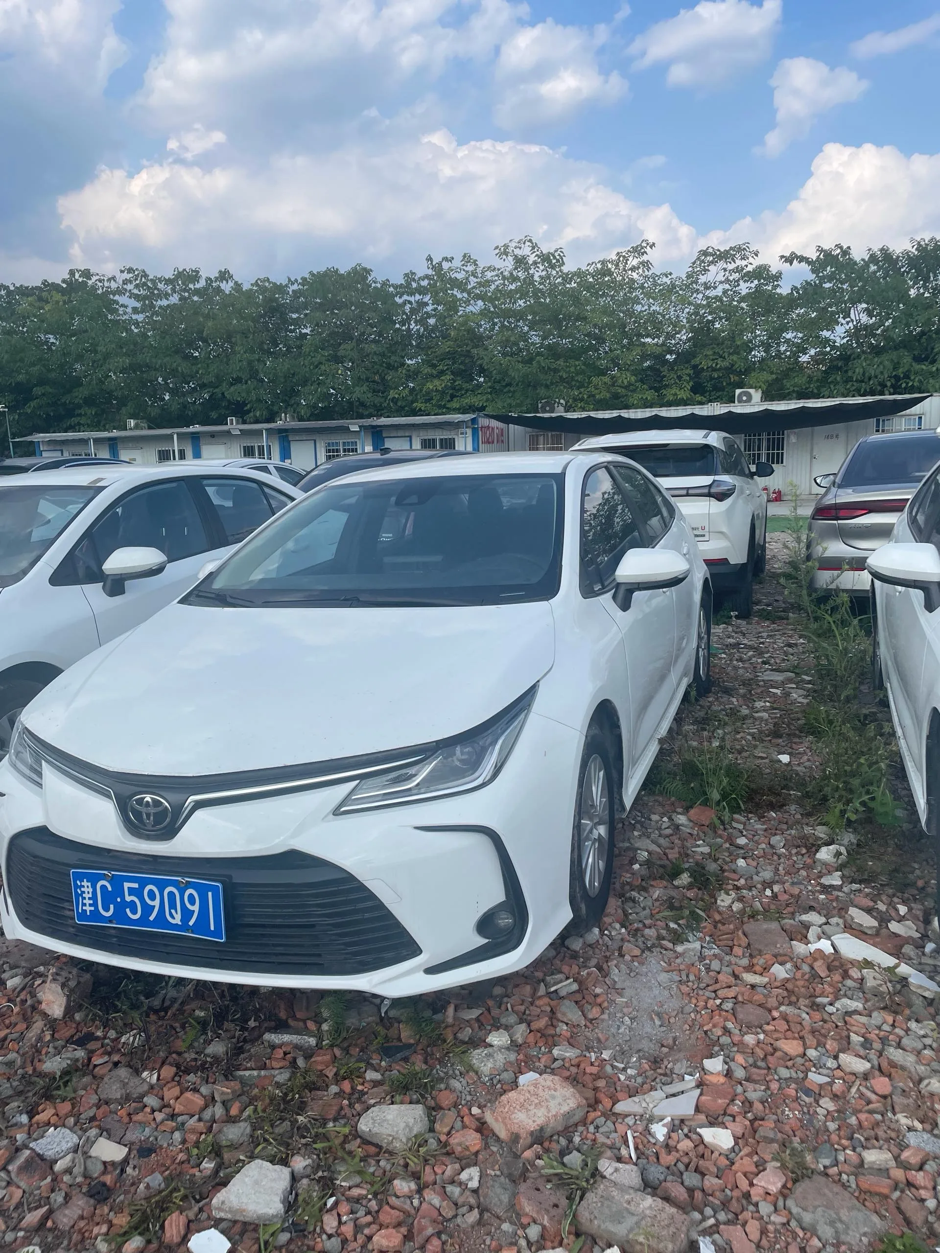 2021 Toyota Corolla TNGA 1.5L CVT Pioneer Edition