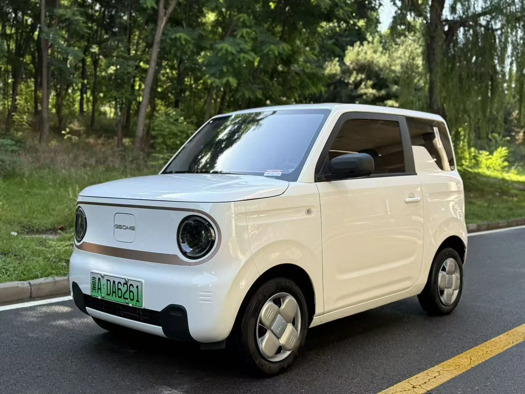 Panda 2024 Panda Mini 200km Endurance Bear