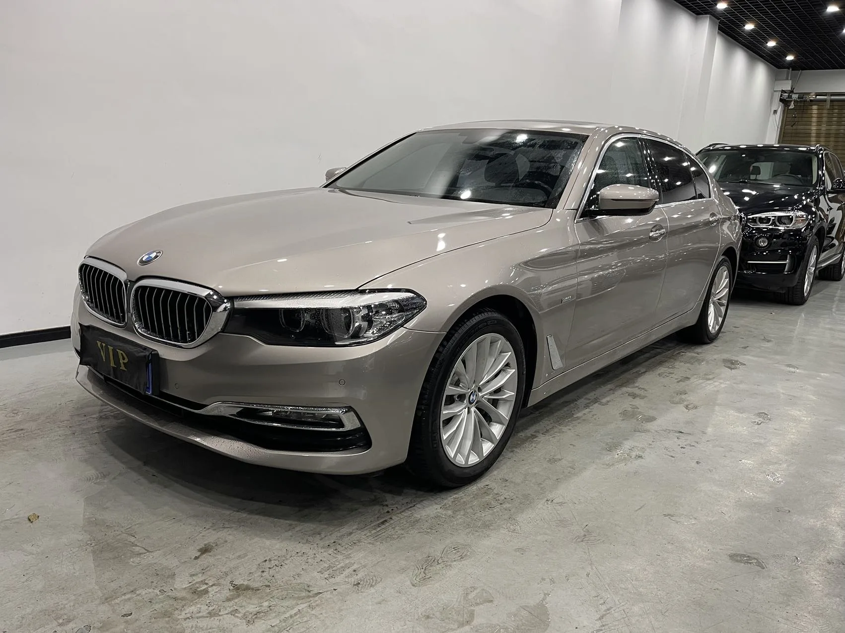 2018 BMW 5 Series 530Li Leading Luxury Package