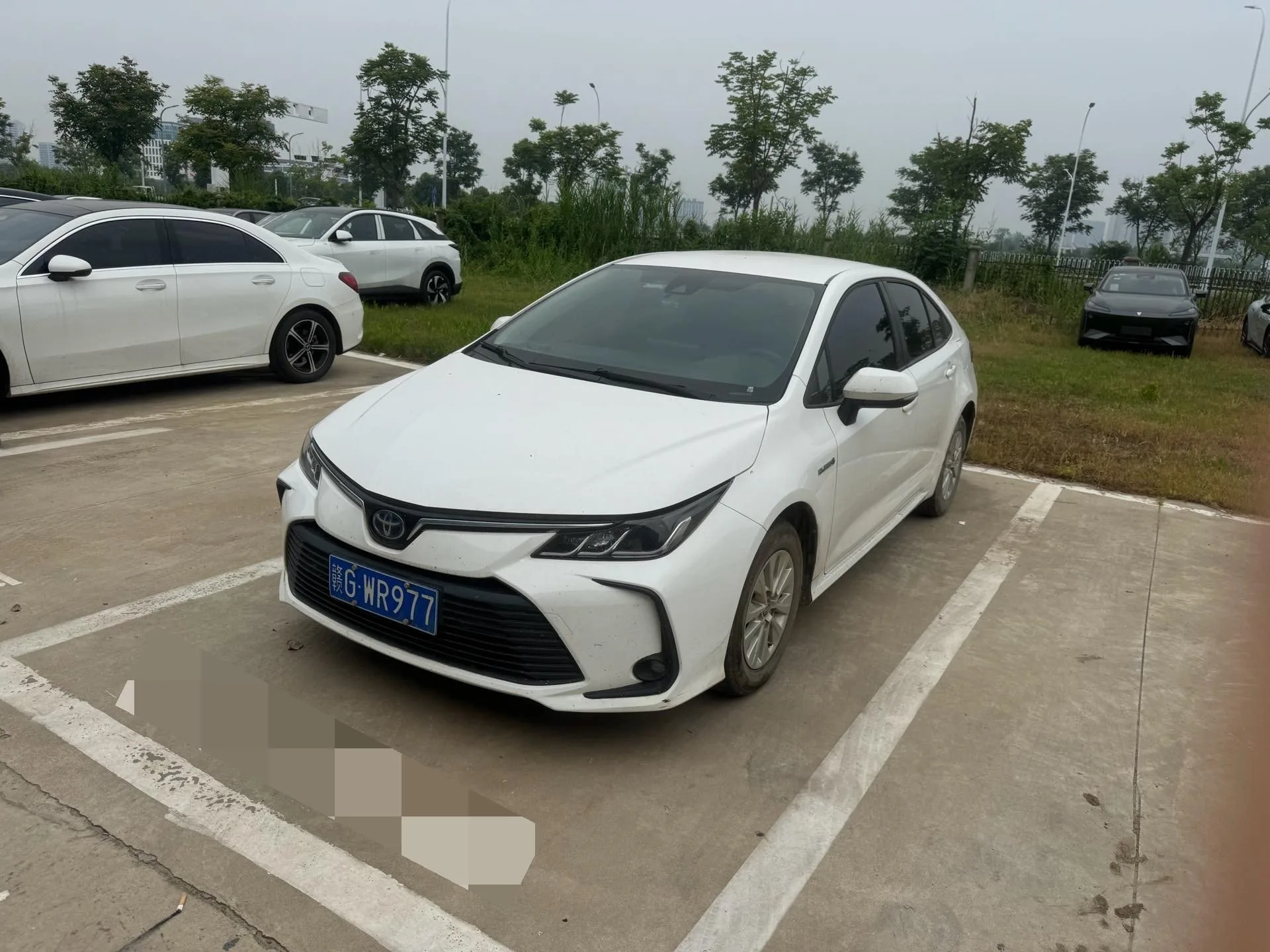 2021 Toyota Corolla Hybrid 1.8L E-CVT Pioneer Edition