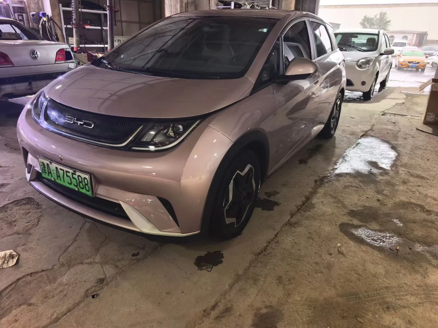 Dolphin 2021 405km Freedom Edition