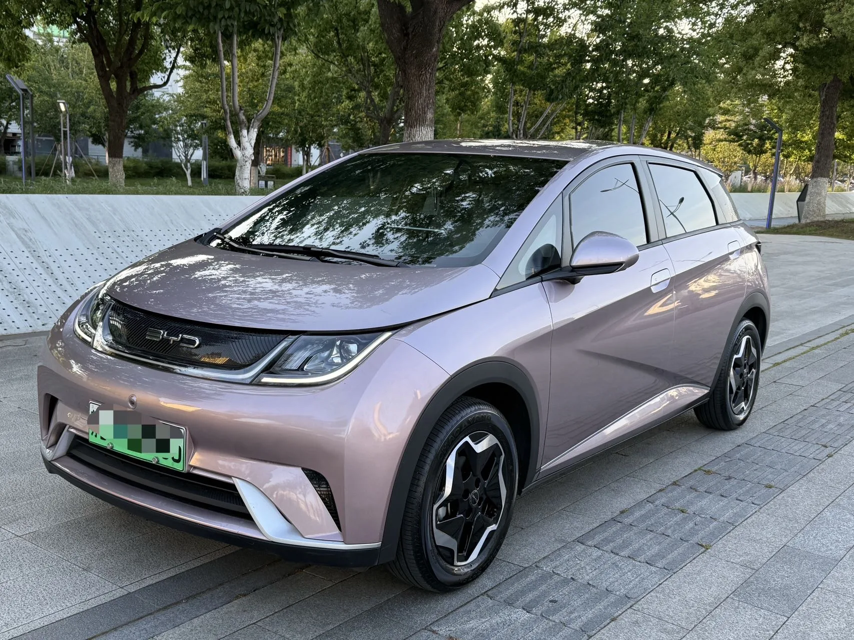 Dolphin 2021 405km Freedom Edition