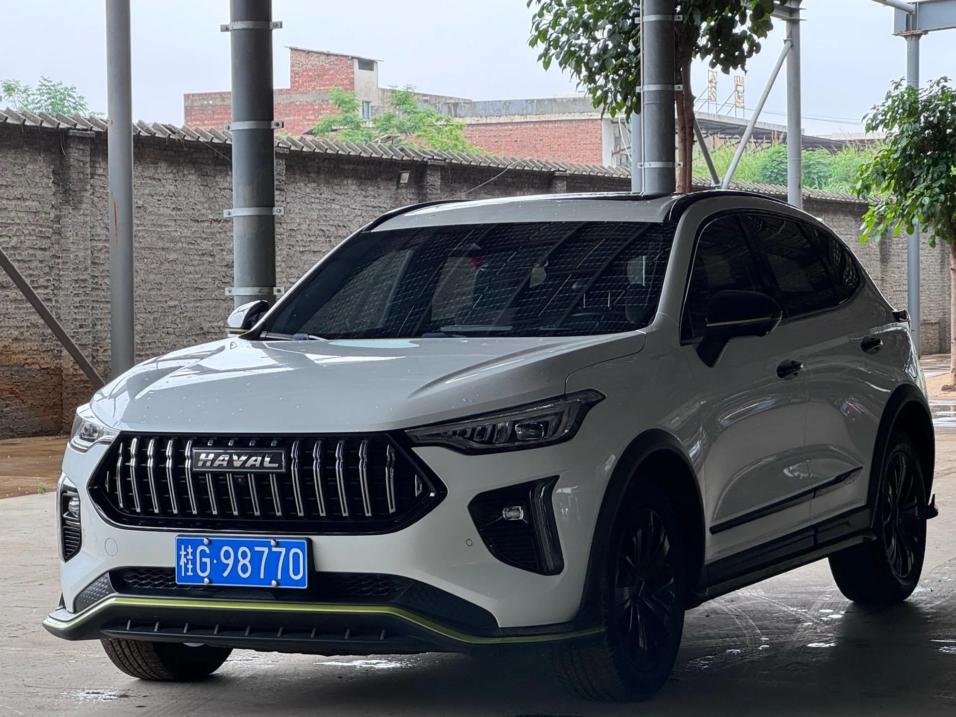Haval Chitu 2021 Power Edition 1.5T Platinum Rabbit