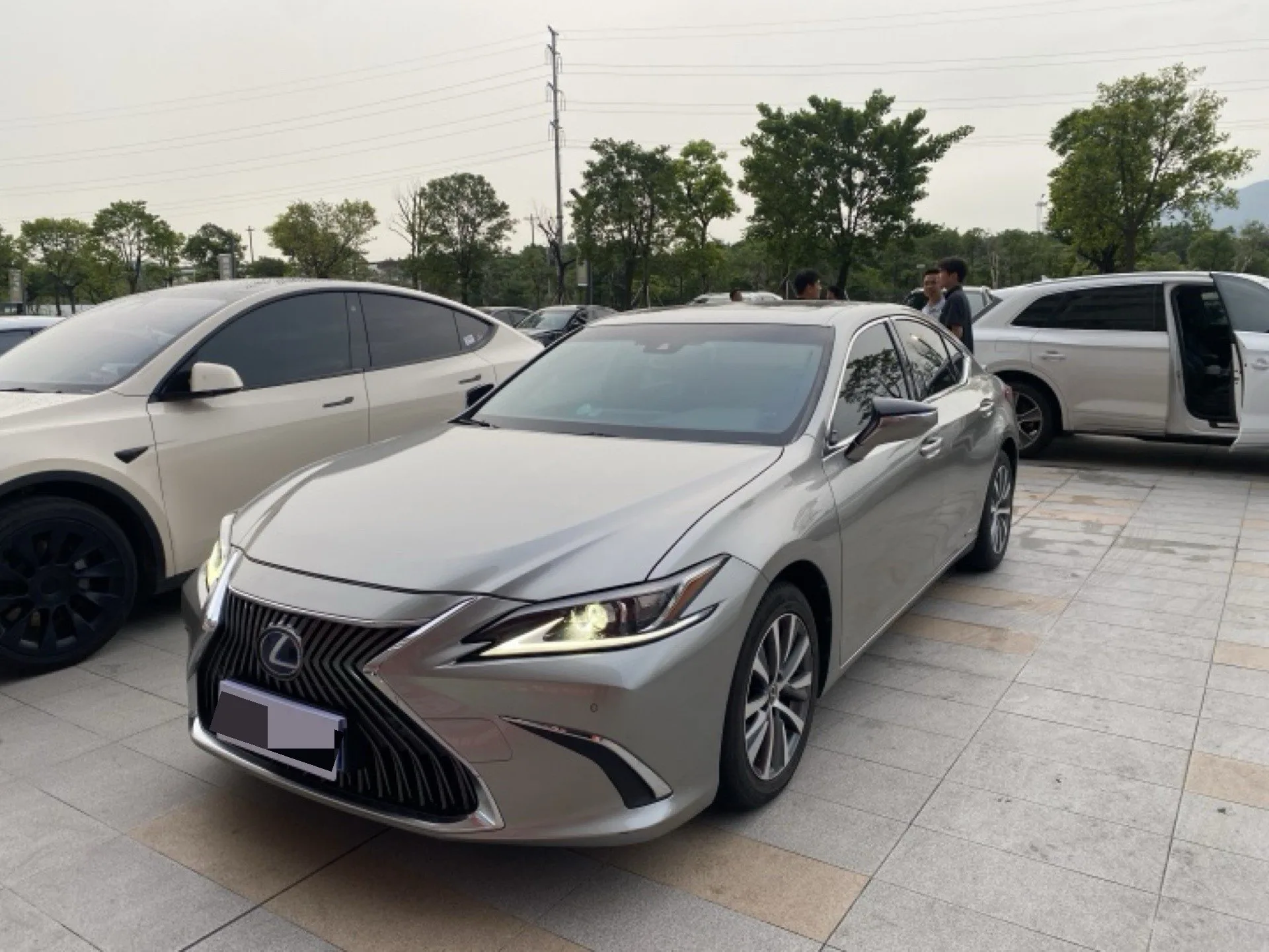 Lexus ES 2020 300h Premium Edition