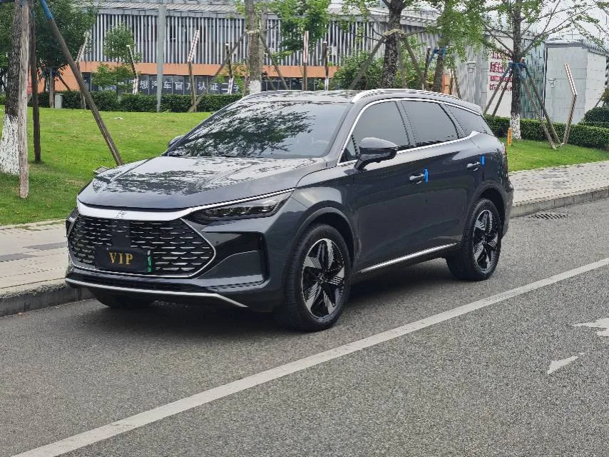 BYD Tang New Energy 2024 Tang DM-i 1.5T CVT Glory Edition 112KM Premium Automatic