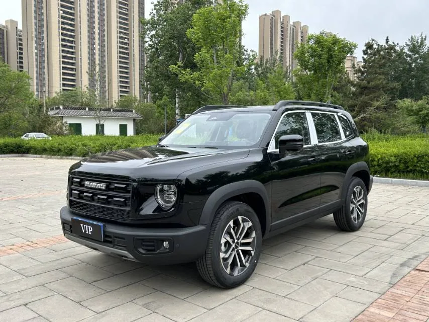 Haval 2024 Big Dog 1.5T Border Collie Edition Automatic
