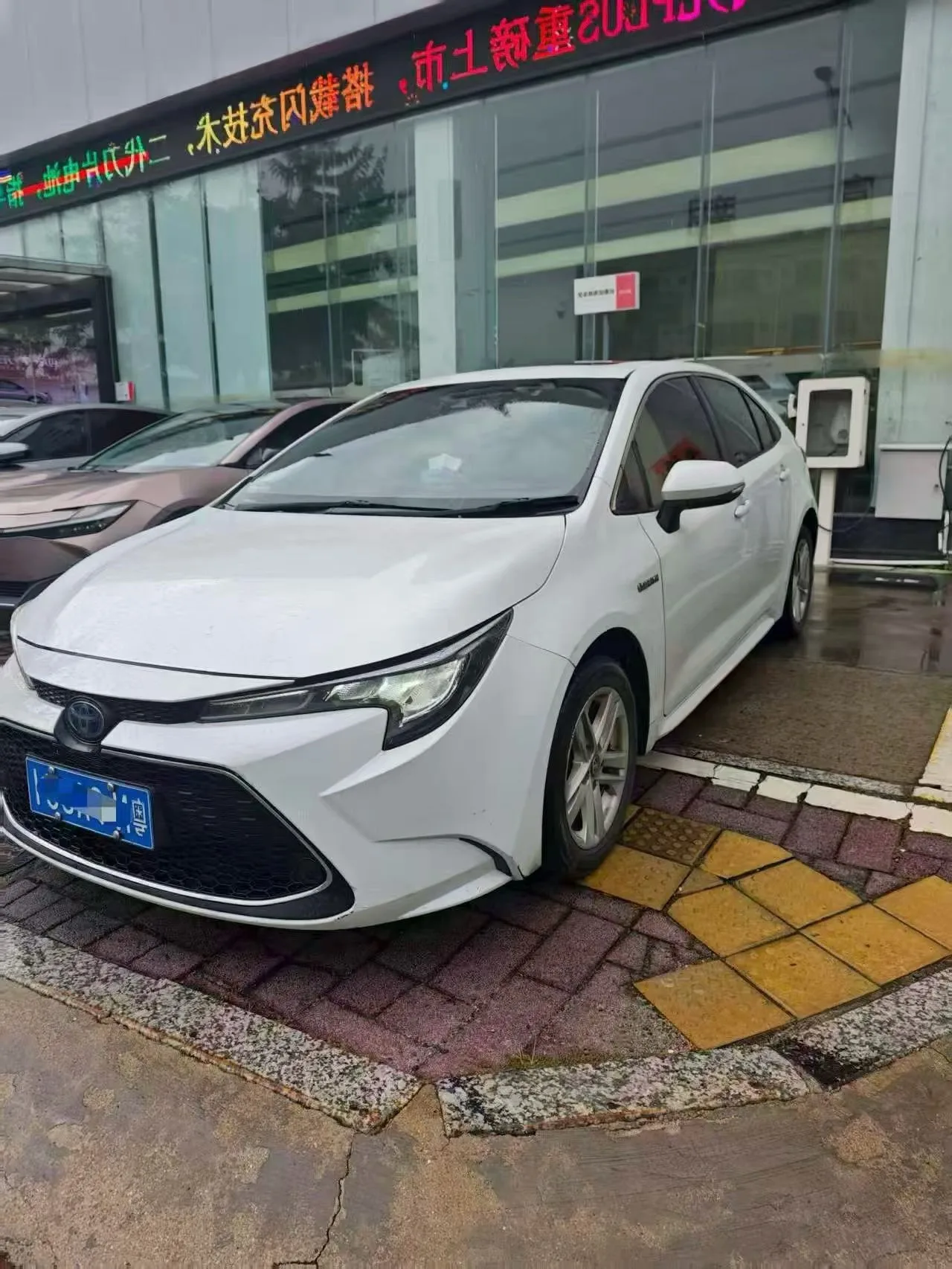 Levin 2021 Hybrid 1.8H E-CVT Luxury Edition