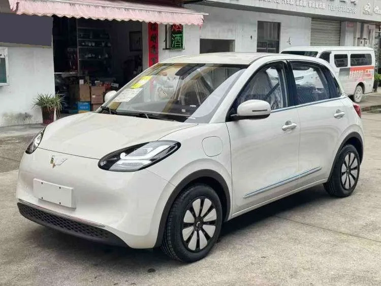 Wuling 2025 Bingo 333km Enjoy Edition Automatic