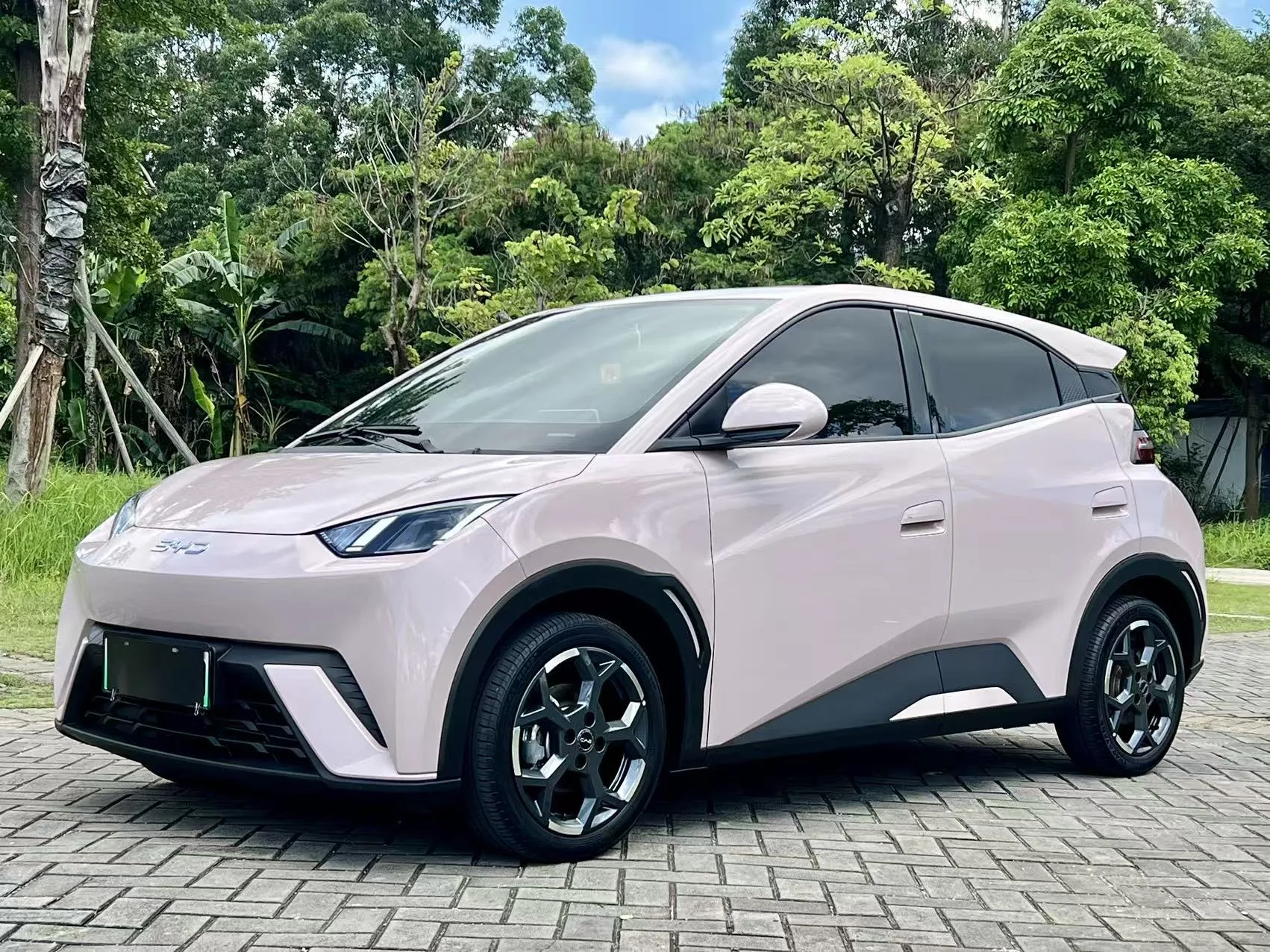 BYD 2025 Seagull 305km/h Freedom Edition Automatic