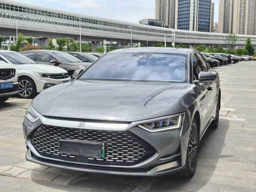 2020 Han DM 4WD Performance Luxury Edition