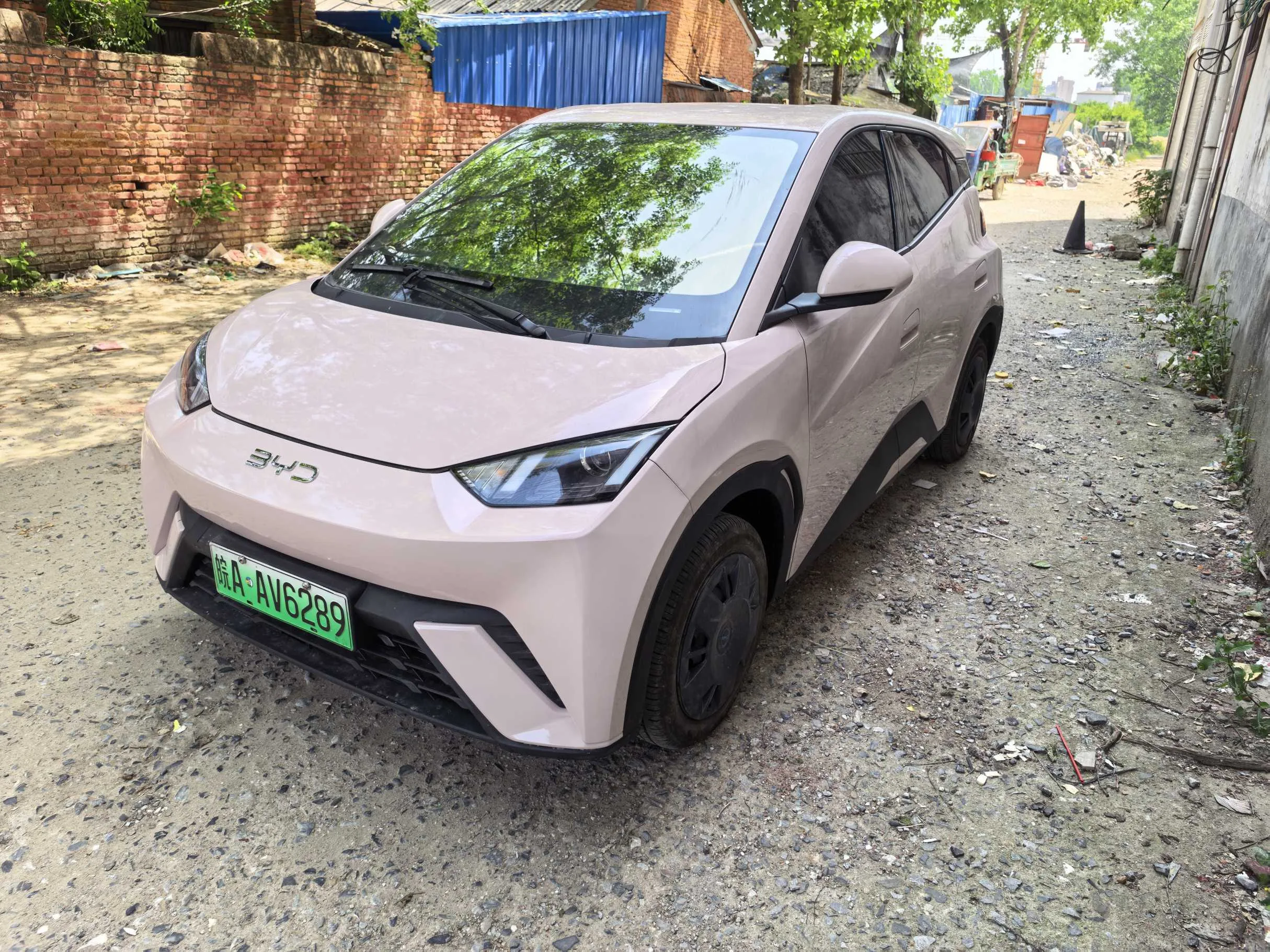 BYD 2025 Seagull 305km/h Vitality Edition Automatic