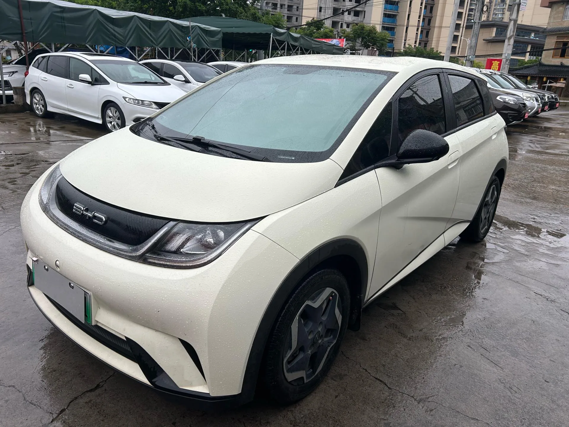 Dolphin 2021 405km Freedom Edition