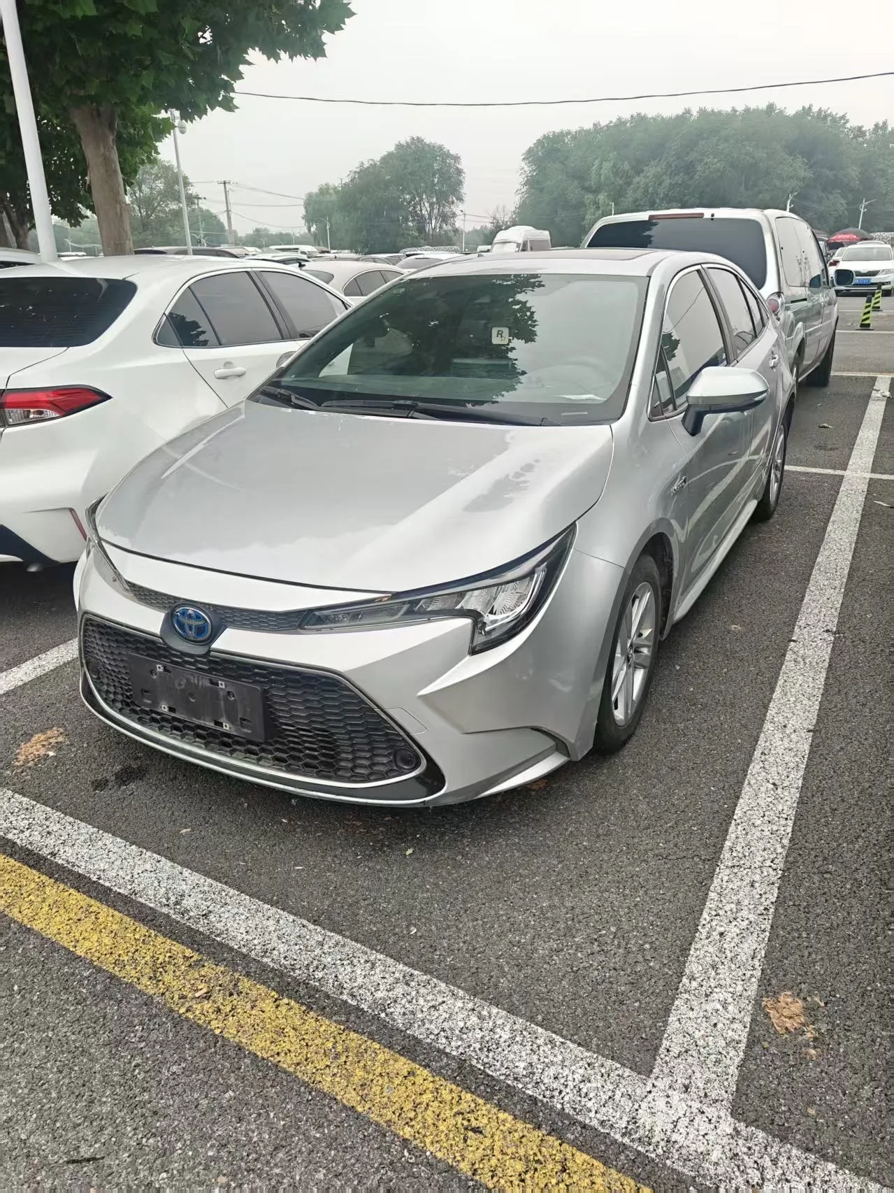 Leiling 2022 Dual-Hybrid 1.8H E-CVT Premium Edition