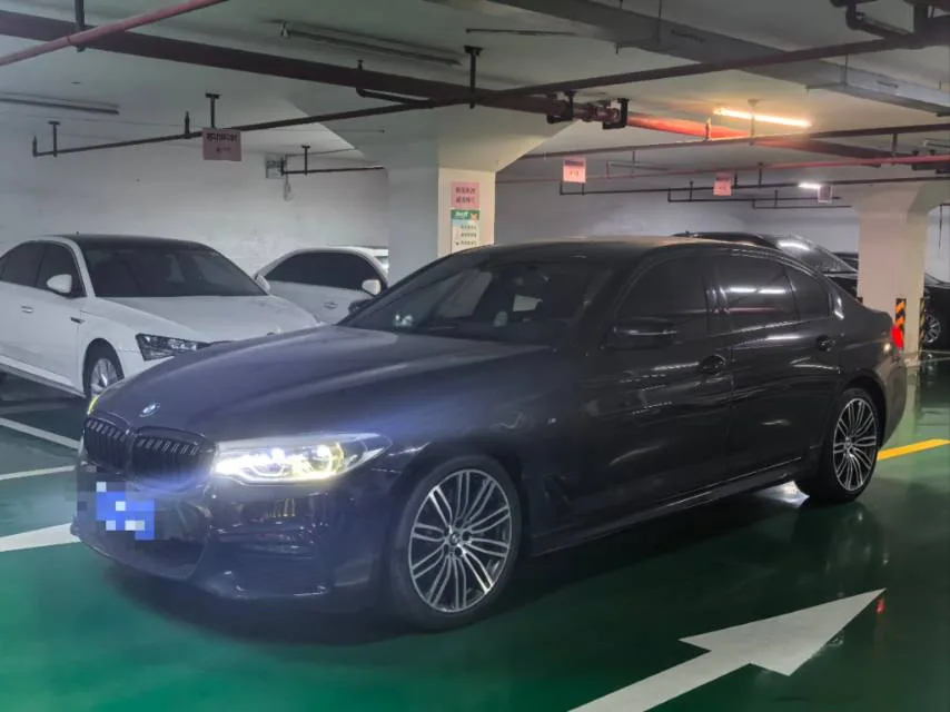 2019 BMW 5 Series Facelift 530Li Luxury M Sport Package