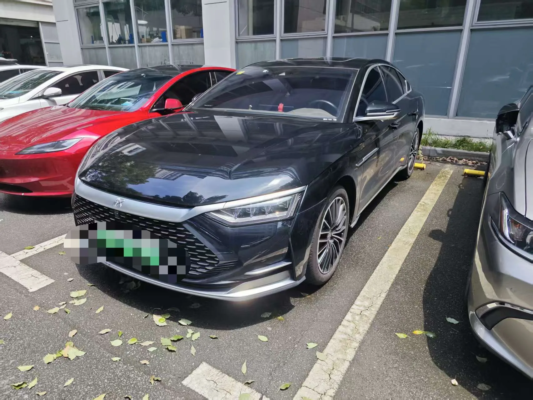 2020 Han DM 4WD Performance Premium Edition