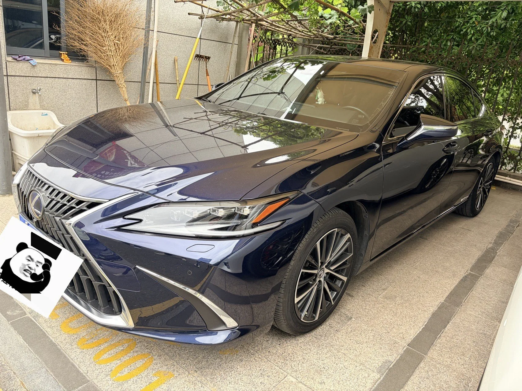 2021 Lexus ES 300h Premium Edition