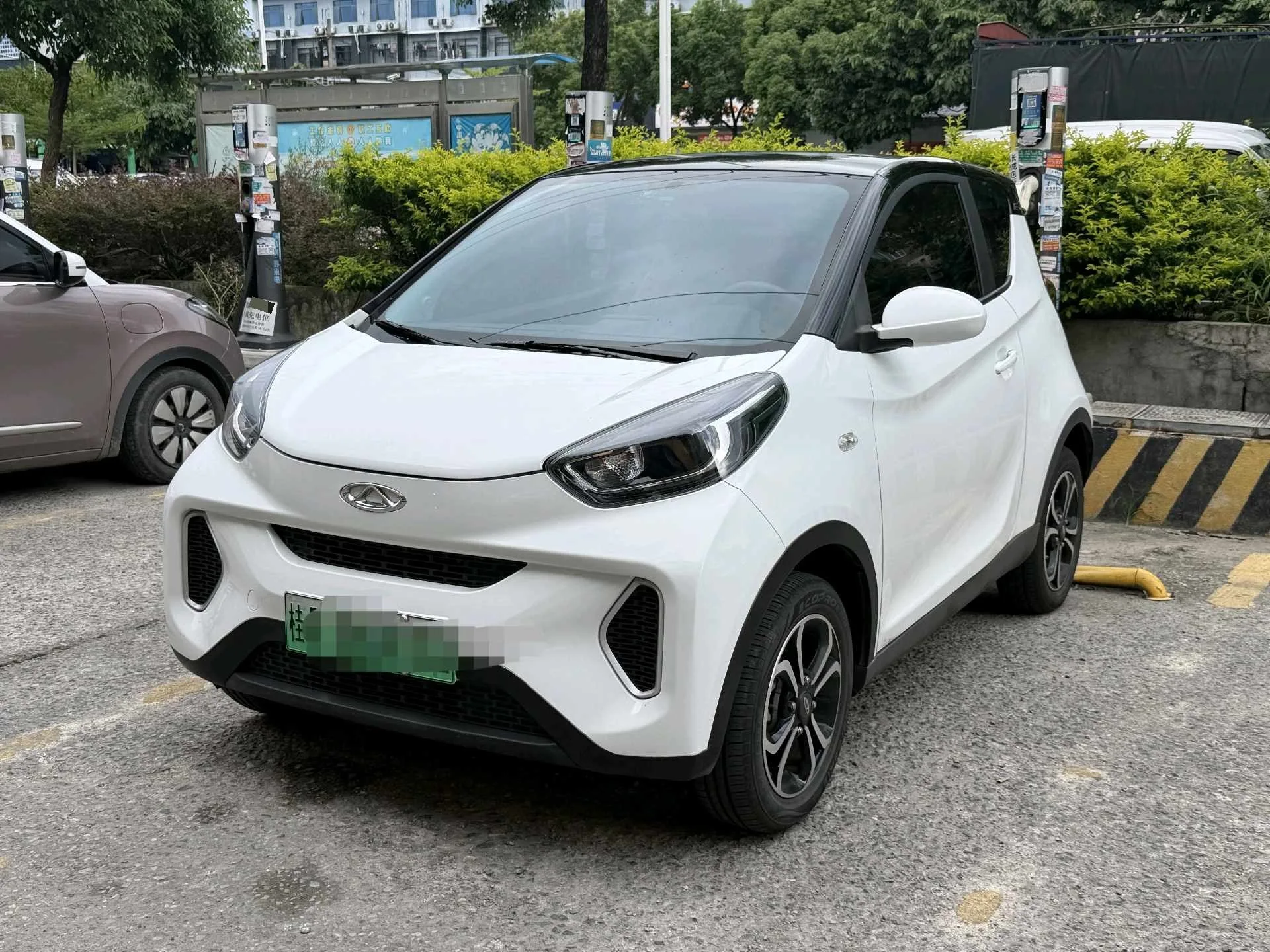 Ant 2021 Model, 200,000 Ant Fans Edition, Oxygen Version, Ternary Lithium Battery, 301 km