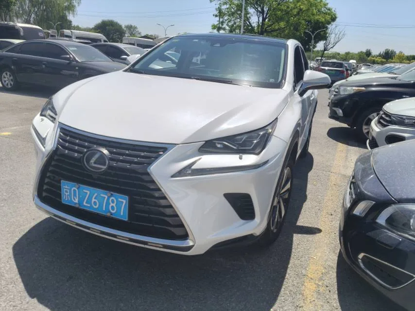 Lexus NX 2017 300h AWD Premium Edition
