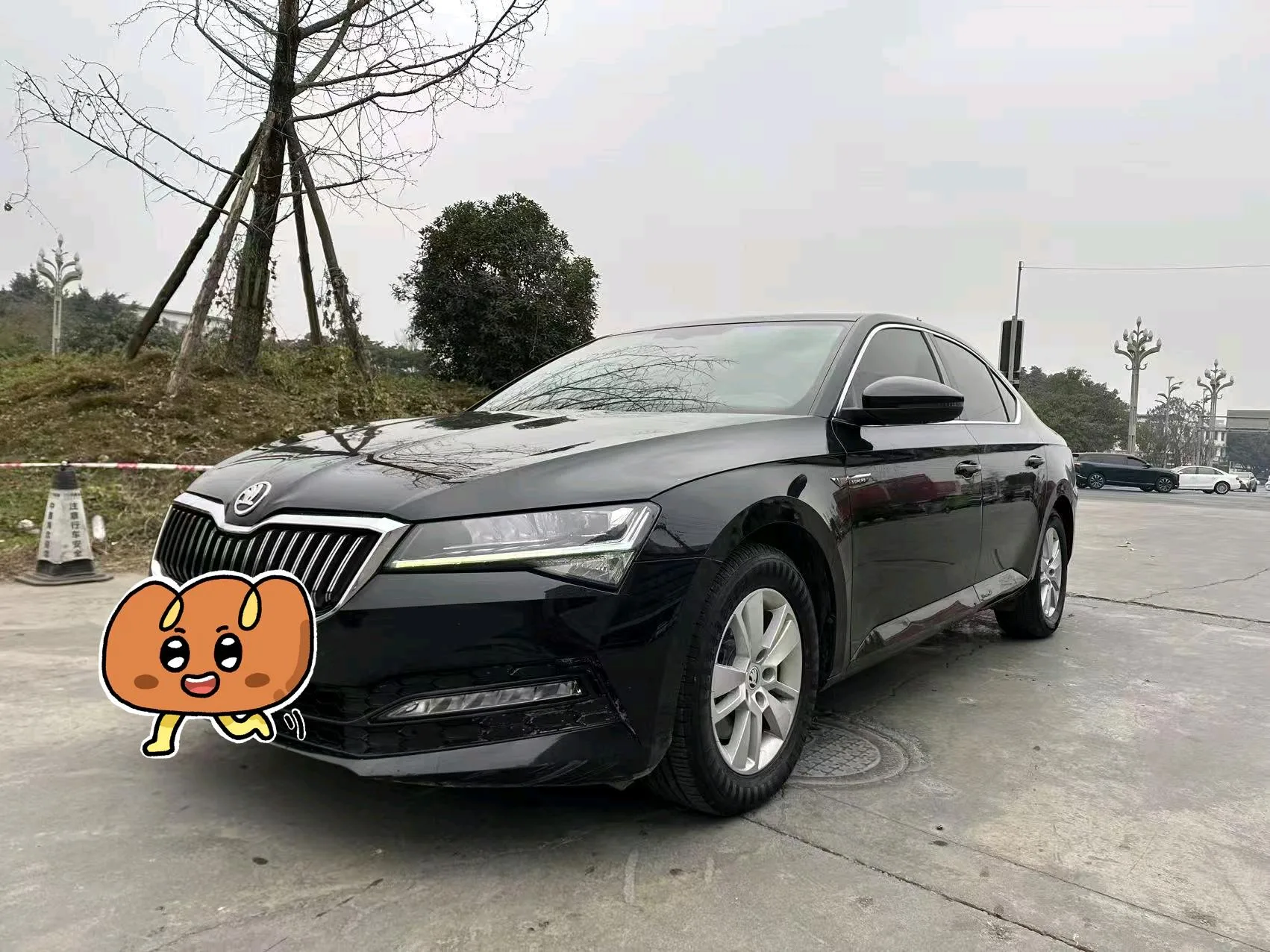 Superb 2019 TSI280 DSG Standard Edition