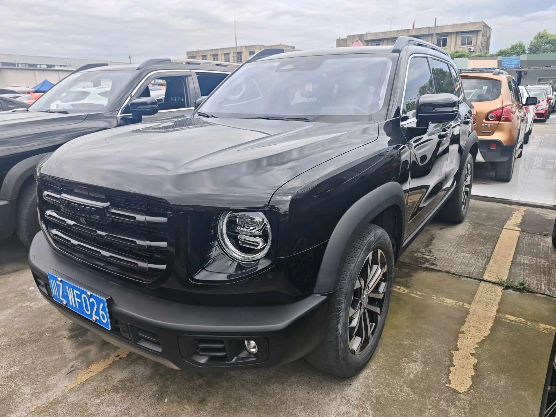 Haval Big Dog 2022 1.5T DCT 2WD Border Collie Edition