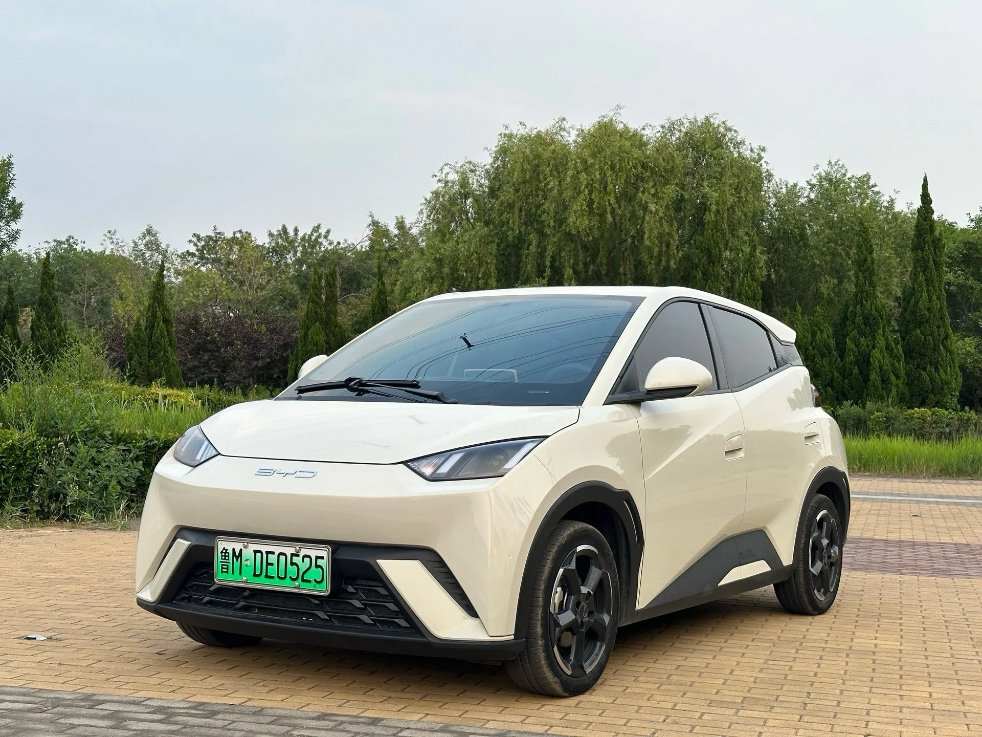BYD 2023 Seagull Vitality Edition Automatic